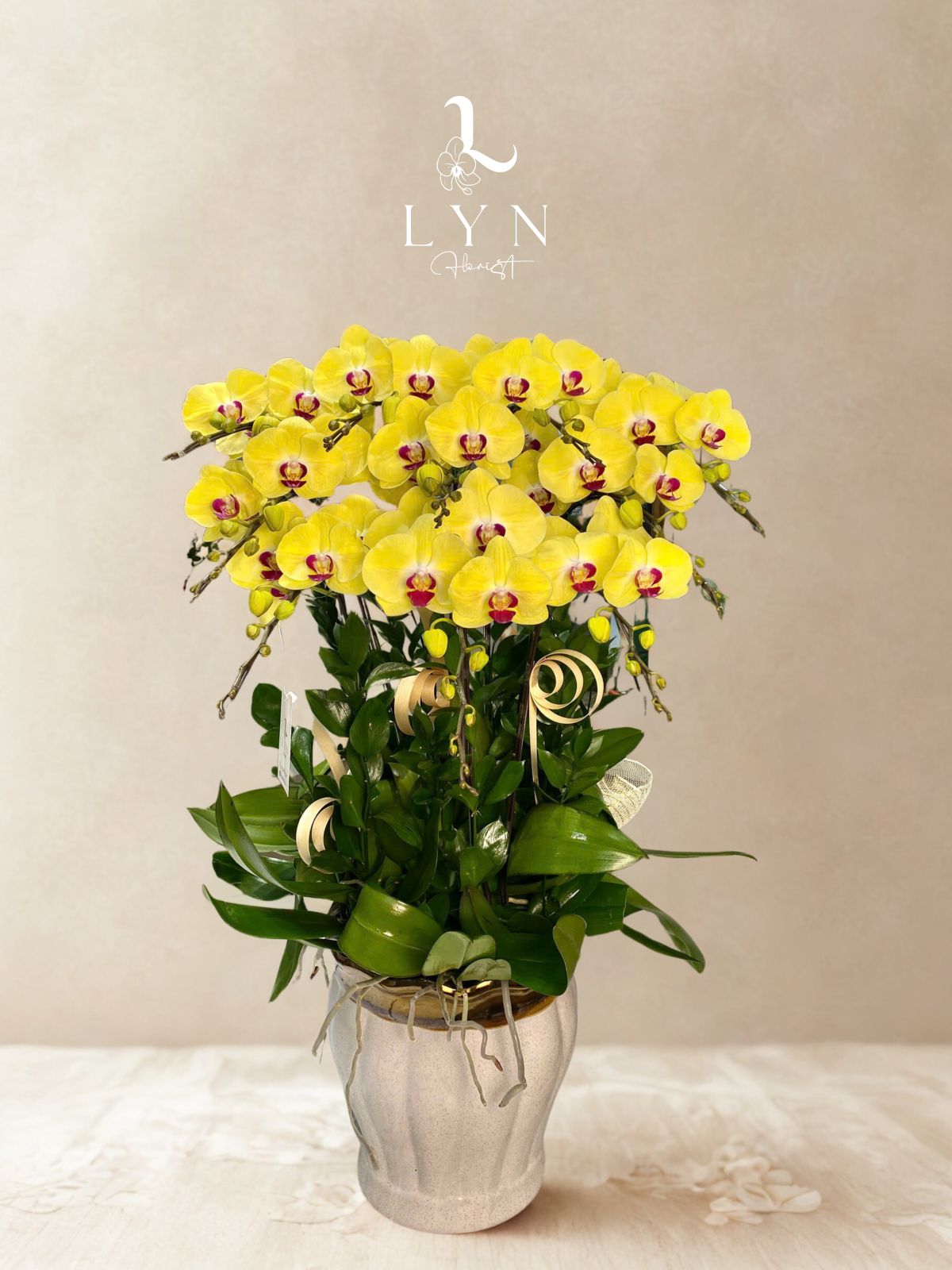 Chậu Hoa Lan Vàng 1040